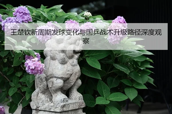 王楚钦新周期发球变化与国乒战术升级路径深度观察